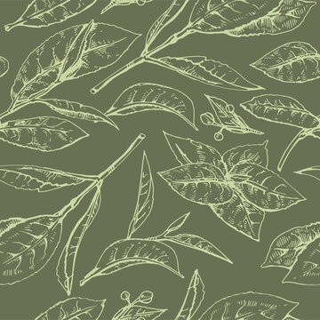 Hand-drawn seamless pattern matcha leaves on the green background.