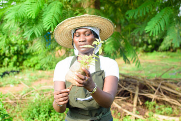 African female gardener, florist or horticulturist wearing an apron and a hat, holding a bag of plant as she works in a green and colorful flowers garden - obrazy, fototapety, plakaty