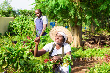 African female and male gardener, florist or horticulturists tending to a garden filled with variety of colorful flowers