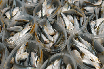 There are a lot of plastic sprat jars. Canned fish.