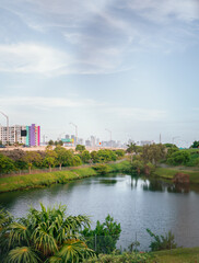 view of the river in the city miami florida horizon downtown usa buildings colors sky 