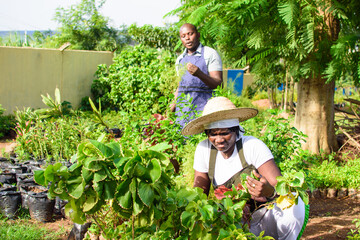 African female and male gardener, florist or horticulturists tending to a garden filled with variety of colorful flowers