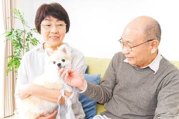 犬を飼うシニア夫婦