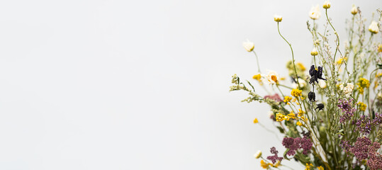 Dry flowers, close up, selective focus. Dried field flowers on the light background. Place for text or advertisement, banner size.