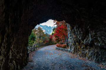 【東京都 奥多摩】数馬隧道