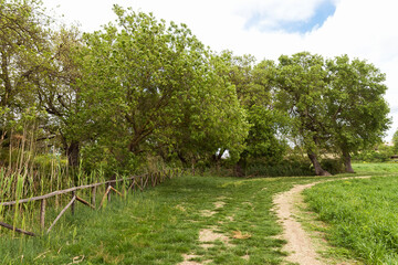 Awesome Green Sceneries of Natural Reserve of Ciane River (Riserva Naturale Fiume Ciane-Saline di Siracusa) in Syracuse, Sicily, Italy.