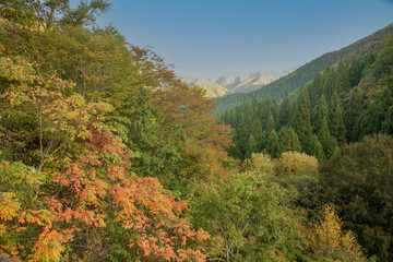 兵庫県・山なみの秋の風景

