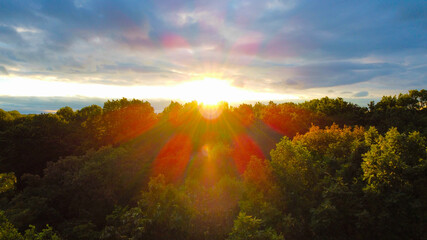 Sunset through the trees