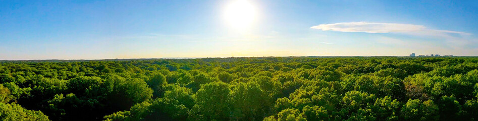 Sun panoramic
