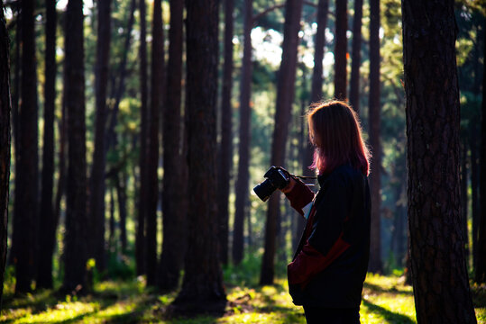 Young woman photographer trekking and taking pictures in the tropical forest