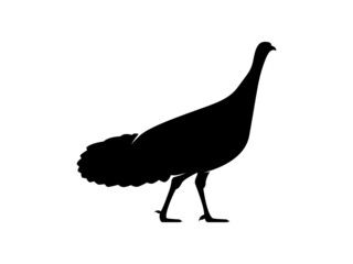 Turkey Silhouette. Isolated Vector Animal Template for Logo Company, Icon, Symbol etc