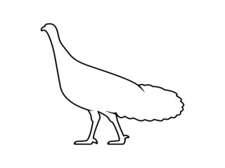 Turkey Silhouette. Isolated Vector Animal Template for Logo Company, Icon, Symbol etc