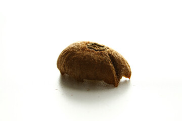 Close up of air dried kiwi fruit