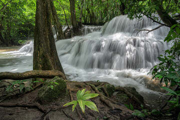 Huai Mae Khamin Waterfall, the most popular attraction at Khuean Srinagarindra National Park in Kanchanaburi Province in Thailand. Taken at 7th level of waterfall.