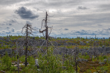 Cloudy August morning on the upper plateau of the mystical Vottovaara mountain. Karelia, Russia
