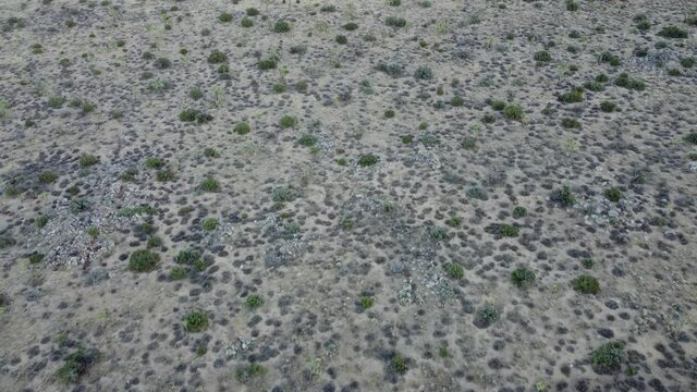 Joshua Tree National Park