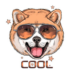 Cute akita inu dog portrait. Dog in sunglasses. Vector illustration. Stylish image for printing on any surface	