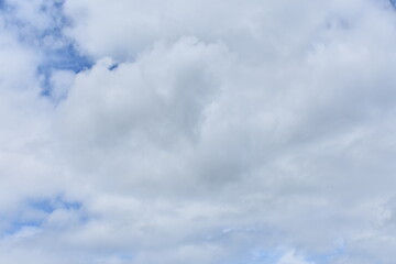 日本　群馬のパワースポット　赤城神社　夏の風景