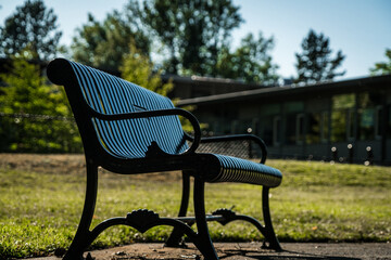 bench in the park
