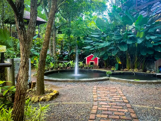 Backyard like a park