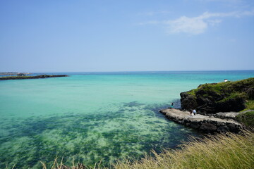 a beautiful seaside landscape with clear water