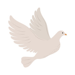 cute dove flying