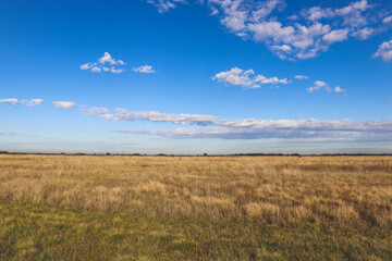 Fototapeta na wymiar grasslands and blue sky