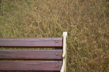 Autumn bench