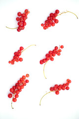 Red ripe currant on a white background