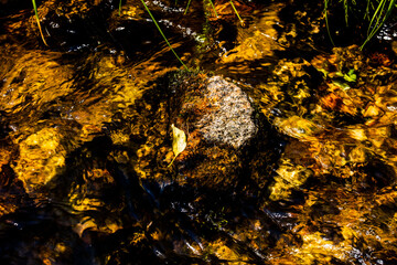 background with space for your text