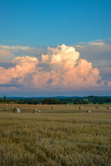 A field of straw bales with beautiful cloud formation looming above them in rural Minnesota, USA.
