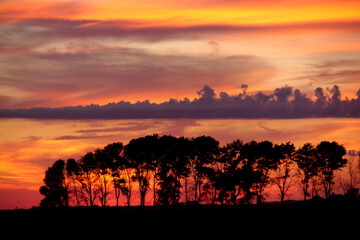 Colorful Autumn sunset with trees in silhouette in rural  Minnesota, USA
