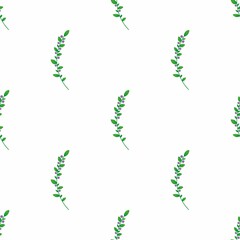 Raster Pattern of twigs, plants, leaves. Set for Wallpaper, Scrapbooking, Fabric, Postcards, Posters. Ornament Autumn, Summer, herbal, floral.