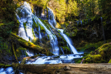 Panther Creek Falls Lower View, Washington State