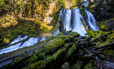 Obraz na płótnie Canvas Panther Creek Falls Lower View, Washington State