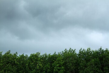 Dirty white clouds float in the sky.