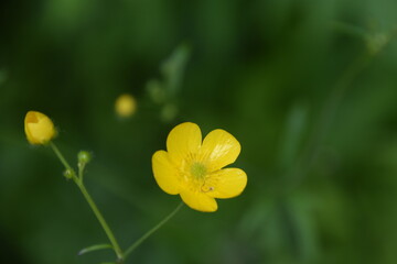 Waterfall of Calvaire regional park in Quebec