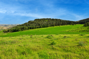 Fototapeta na wymiar Hills and green fields in Israel