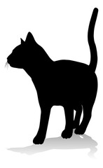 Silhouette Cat Pet Animal