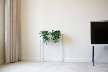 Ivy green plant in white plant stand and neutral decor home