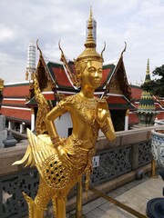 Fototapeta premium Gold Kinnaree
