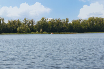 summer landscape with a river, floating people on boats in the distance, green beach, smooth water