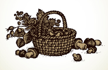 Vector still life of mushrooms, rose hips and hazelnut in basket
