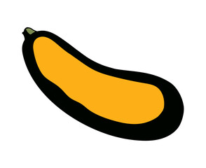 Zucchini gourd. Vector drawing icon