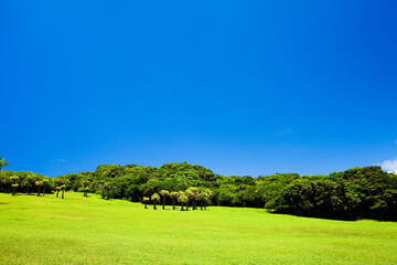 This scenic area is located in Kenting National Park in Pingtung, Taiwan.