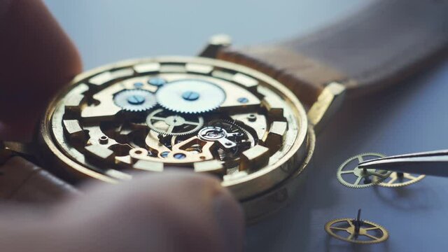Watch repair process. Craftsman instaling new parts into wristwatch