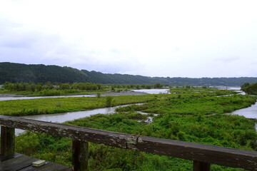 Fototapeta na wymiar 蓬萊橋から見る大井川の上流側／静岡県浜松市