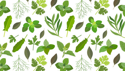 Seamless pattern with  spicy herbs.