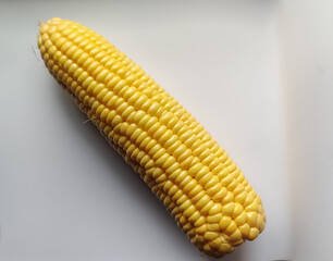 corn on the cob