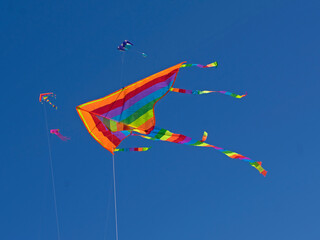 Isolated funny rainbow color kite flying in the blue sky